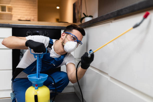 Best Commercial Pest Control Services  in Millbury, OH