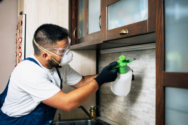 Best Affordable Pest Control Services  in Millbury, OH