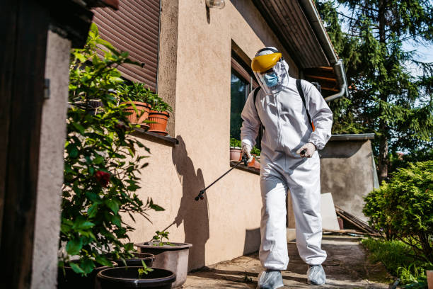 Best Wasp Removal Services  in Millbury, OH
