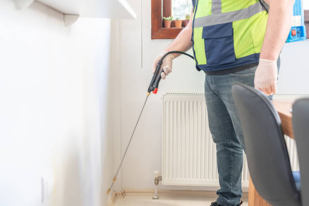 Best Local Pest Control Services  in Millbury, OH