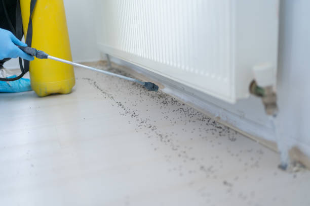 Professional Pest Control in Millbury, OH