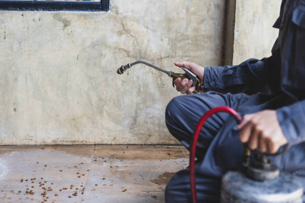 Best Best Pest Control Companies  in Millbury, OH