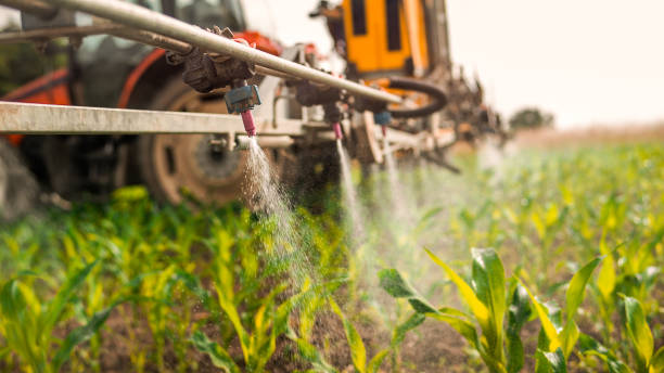 Best Ant Control Services  in Millbury, OH